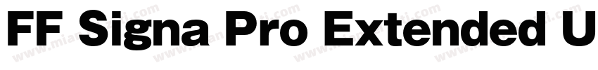 FF Signa Pro Extended Ultra Italic字体转换